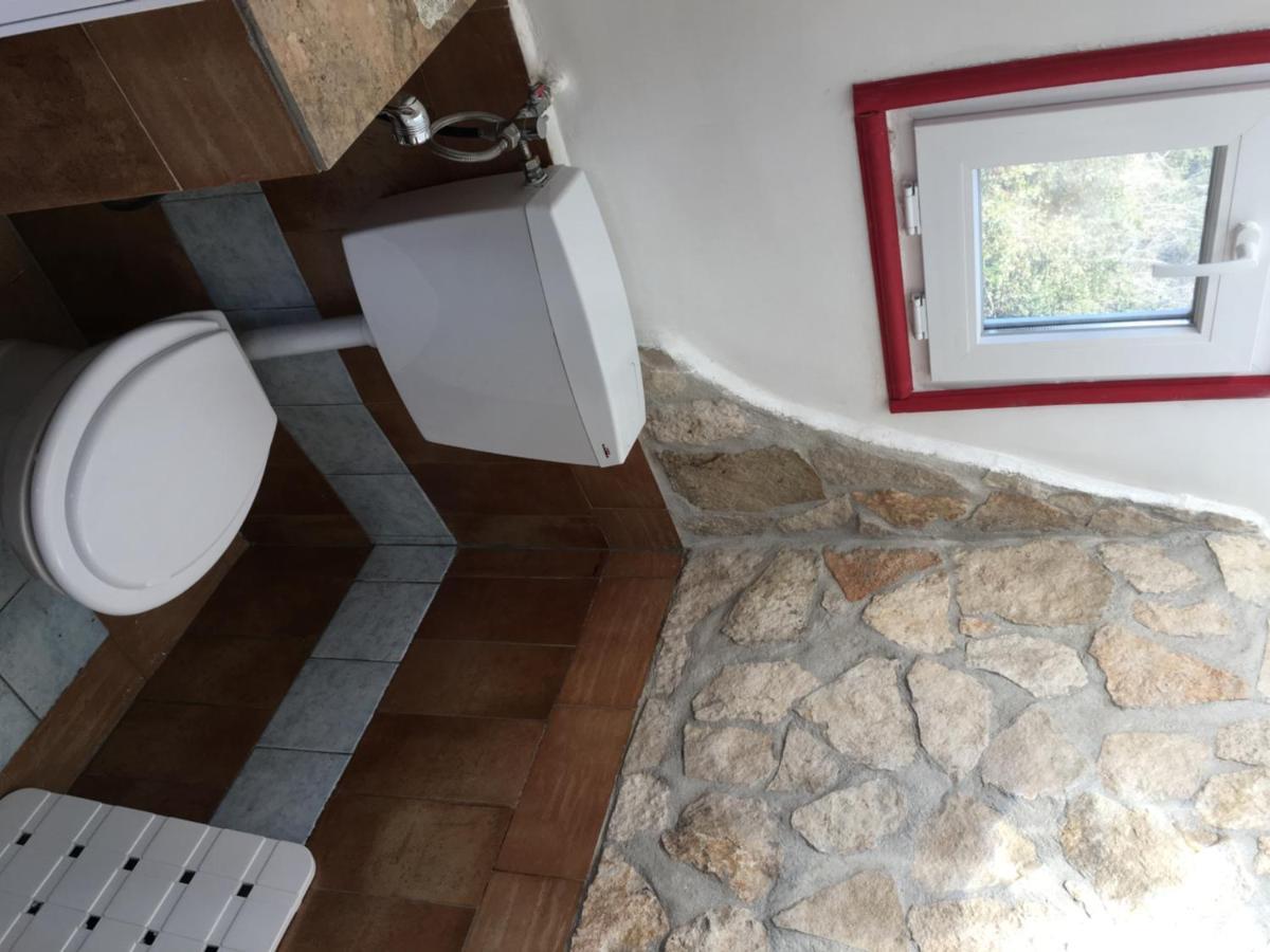 Camilla House Bed & Breakfast Santa Marinella Exterior foto